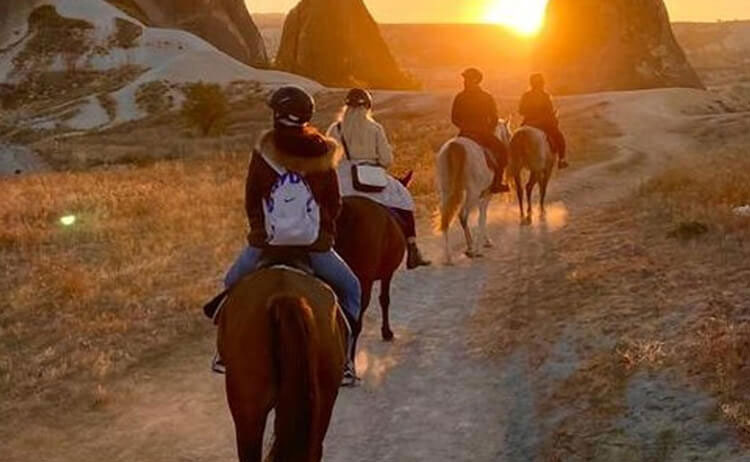 horse-horse